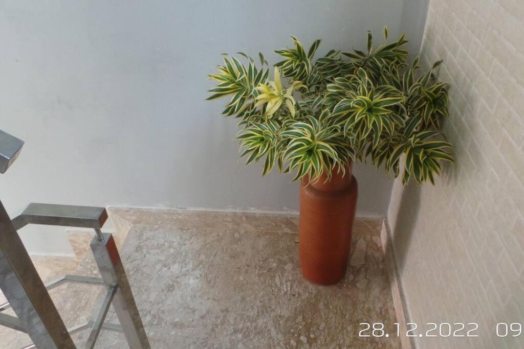 Excelente Casa Com Piscina Villa Camaçari Eksteriør billede